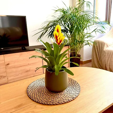 Duplex Petrales Apartment *