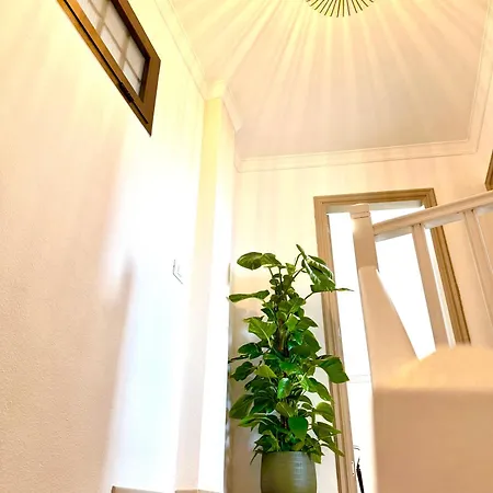 Apartment Duplex Petrales
